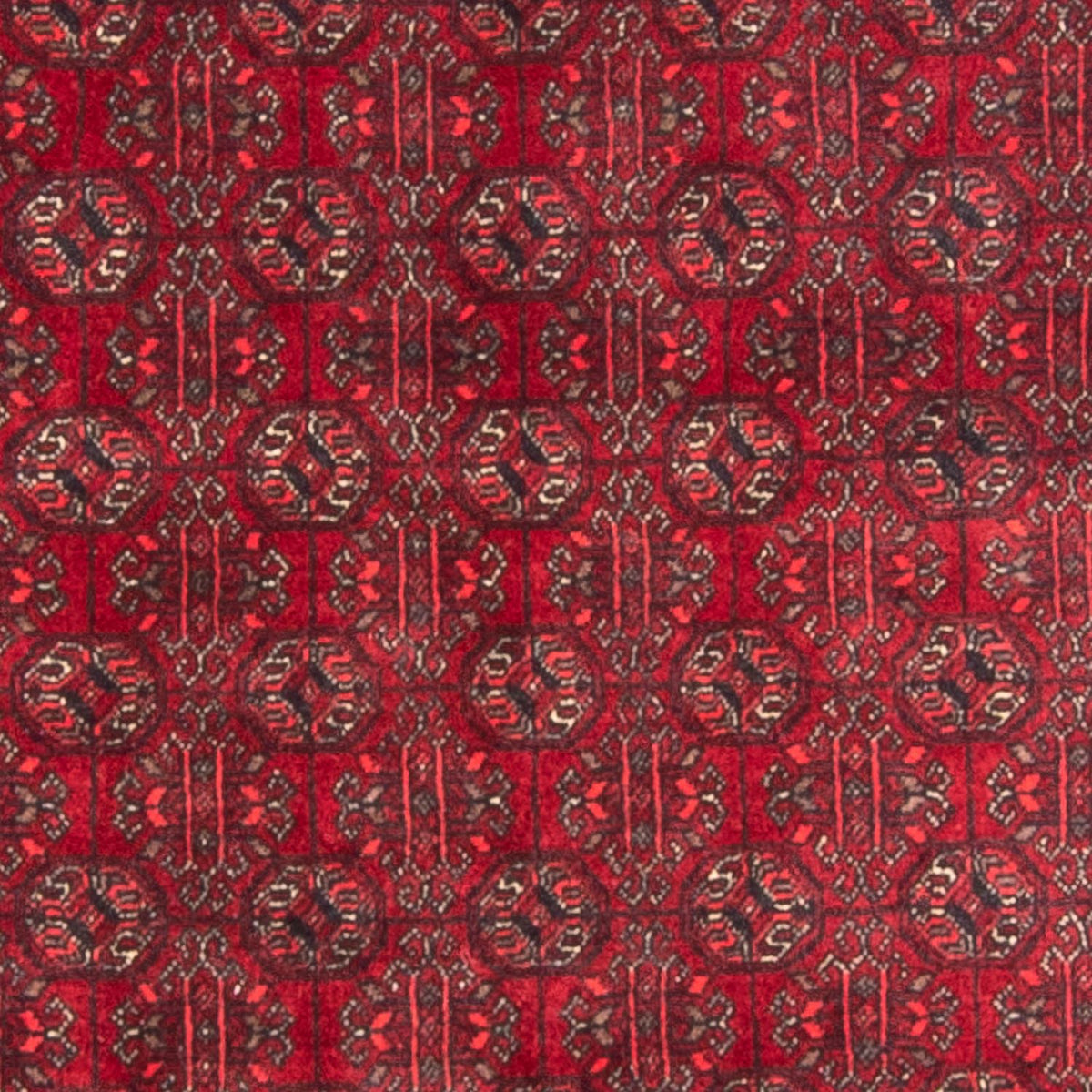 Tapis afghan - Boukhara - 196 x 124 cm - rouge