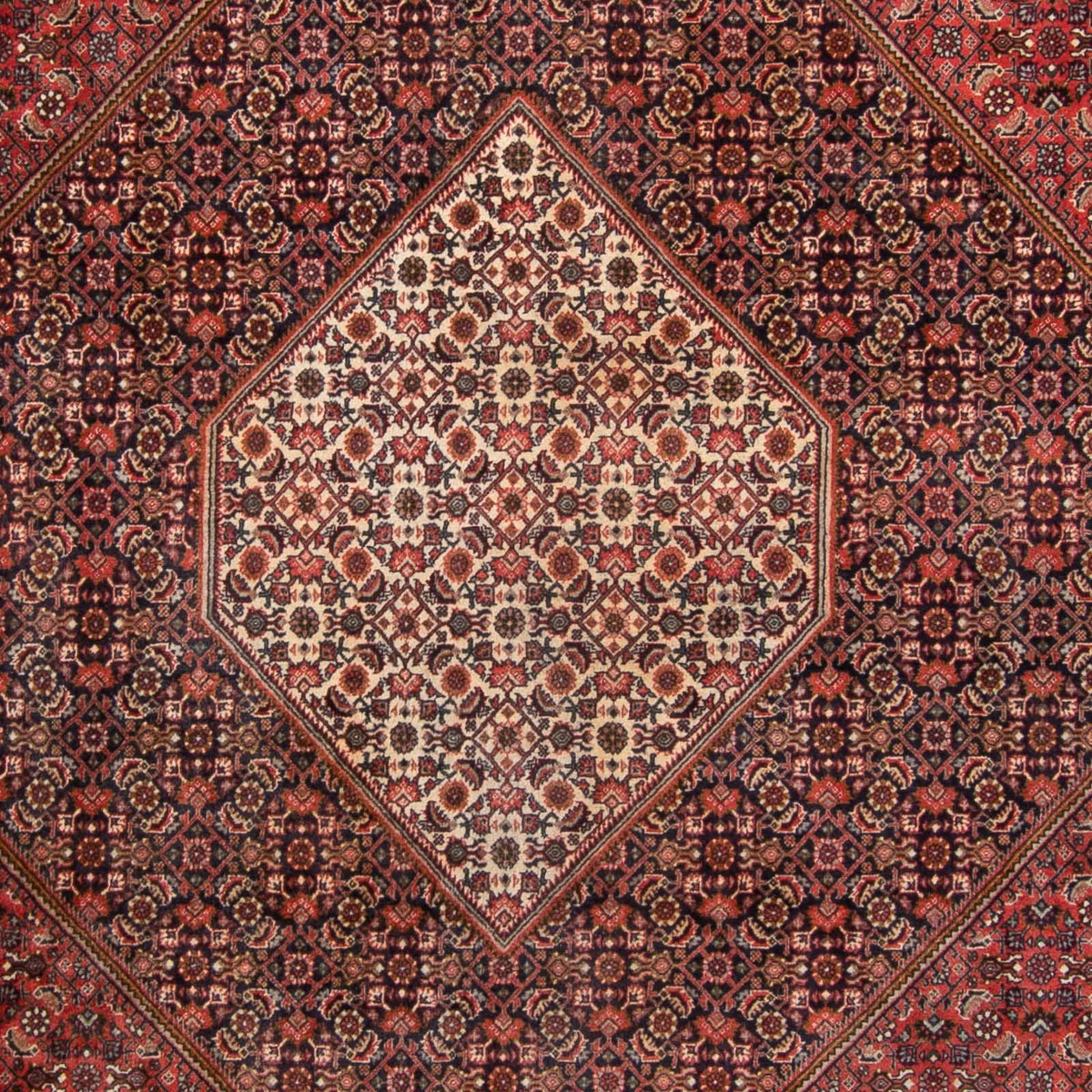 Tapis persan - Bidjar - 350 x 250 cm - rouge