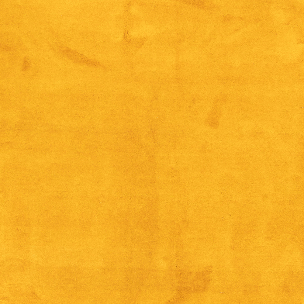 Tapis Gabbeh - Indus - 389 x 300 cm - or