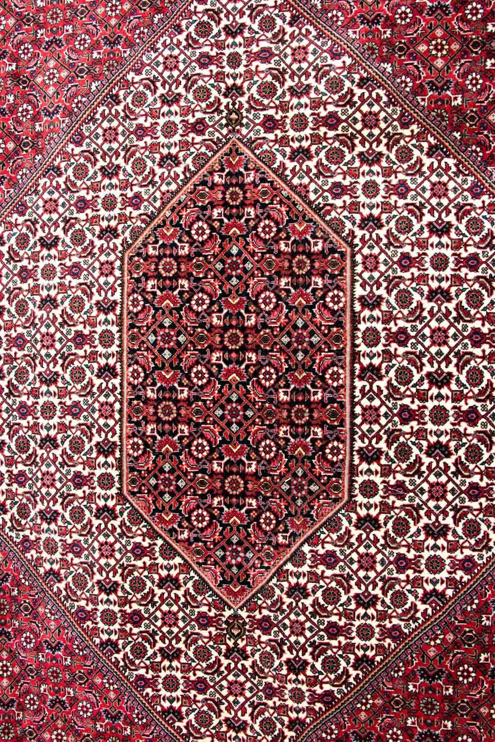 Tapis persan - Bidjar - 310 x 250 cm - beige