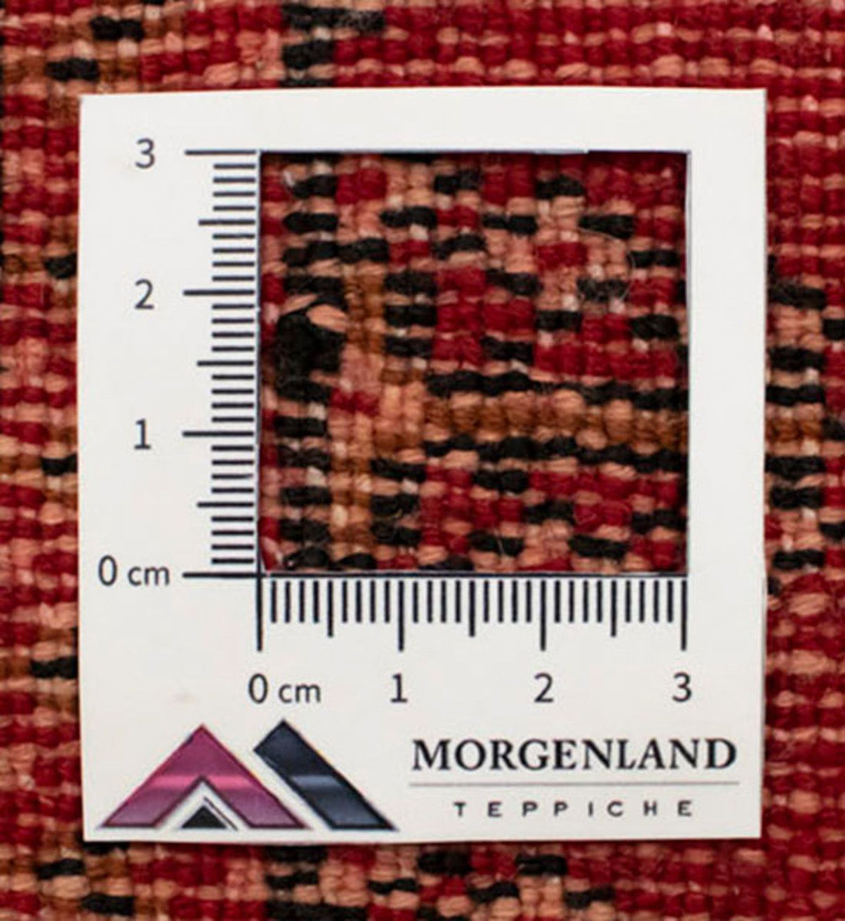 Tapis de couloir Tapis Turkaman - 100 x 50 cm - rouge