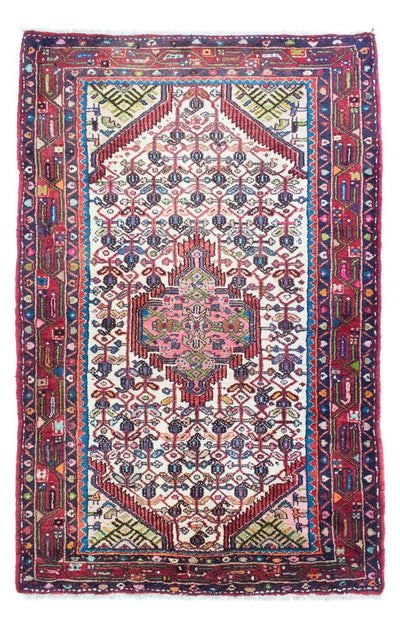 Lilian Tapis 107x168cm - Tapis persan