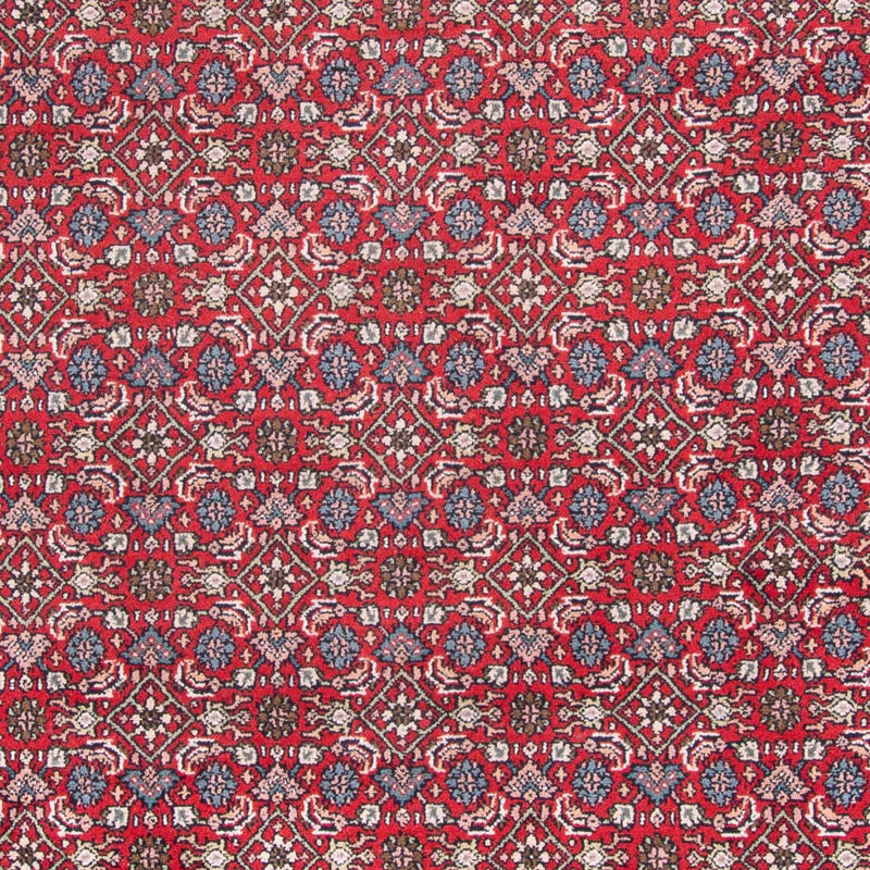 Tapis oriental - Bidjar - Indus - 353 x 253 cm - rouge