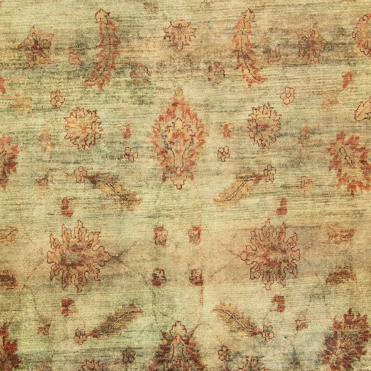 Tapis Ziegler - 283 x 215 cm - vert
