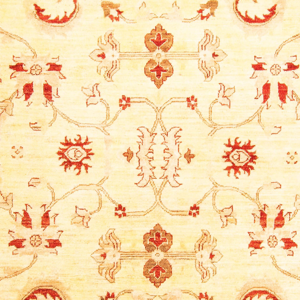Tapis Ziegler - 286 x 207 cm - beige