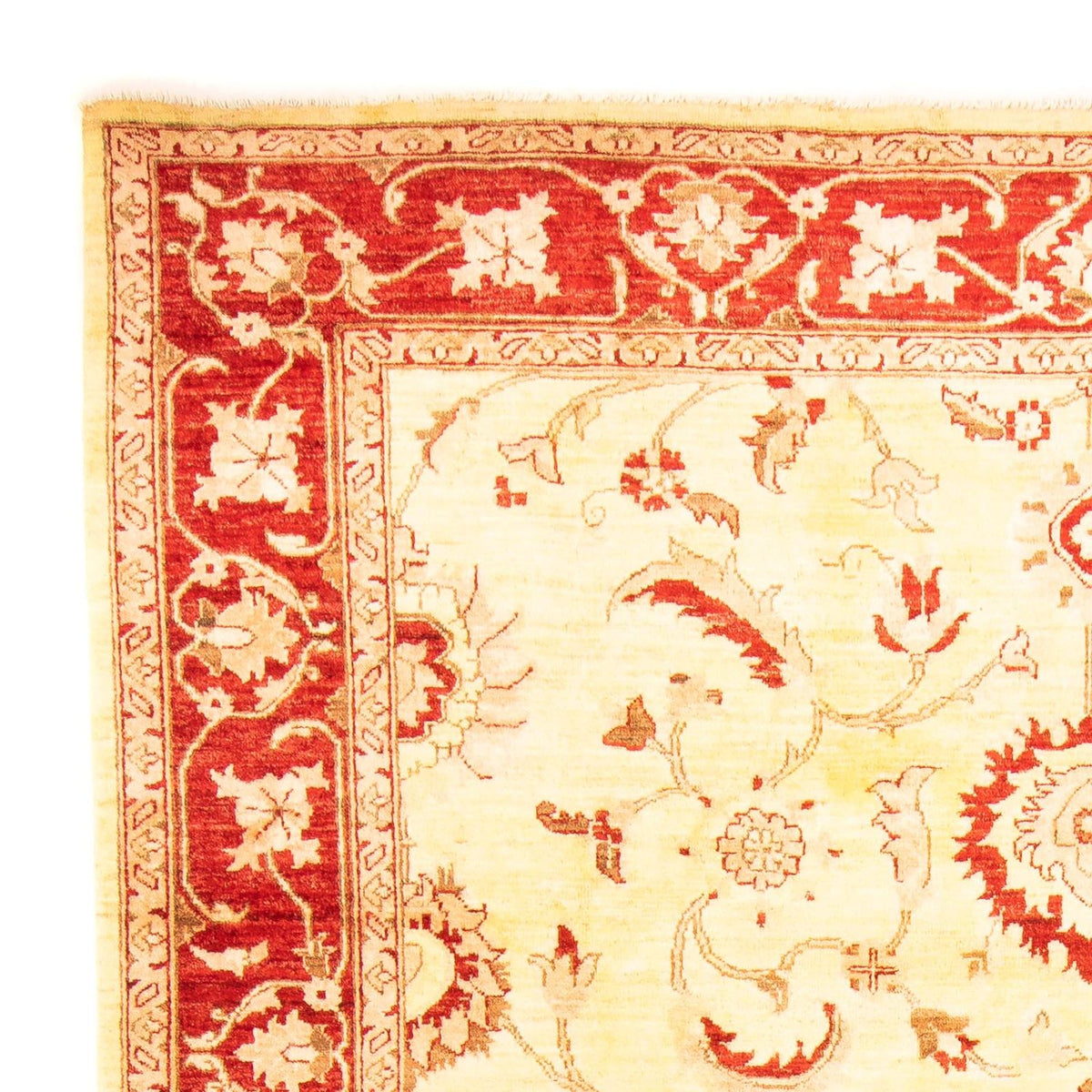 Tapis Ziegler - 286 x 207 cm - beige