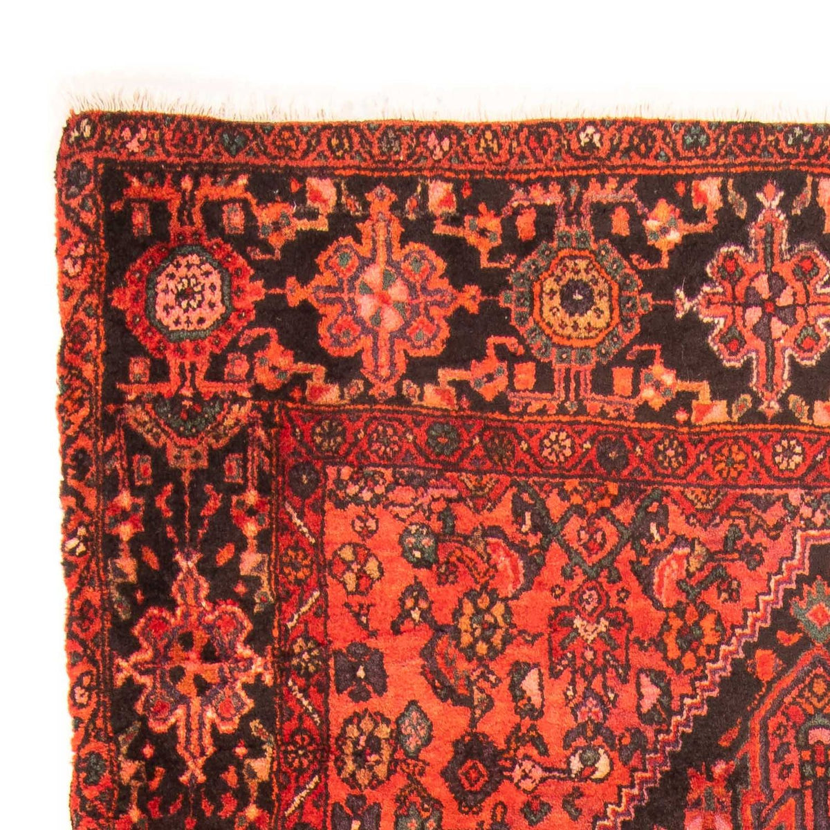 Tapis de couloir Tapis persan - Nomadic - 238 x 127 cm - rouge foncé