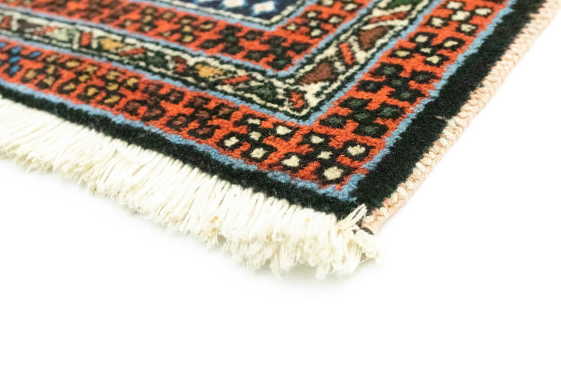 Tapis de couloir Tapis persan - Nomadic - 307 x 70 cm - multicolore