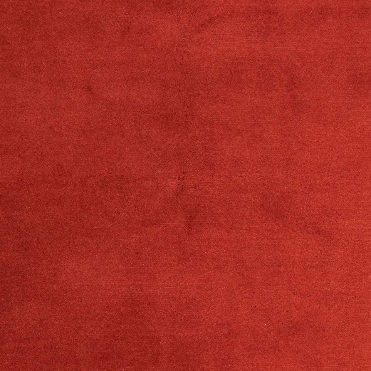 Tapis Népalais - 293 x 205 cm - rouge foncé