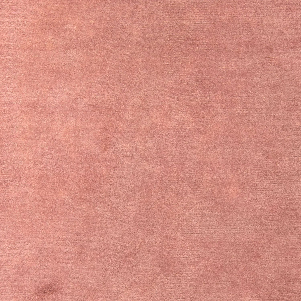 Tapis Népalais - 223 x 160 cm - marron clair