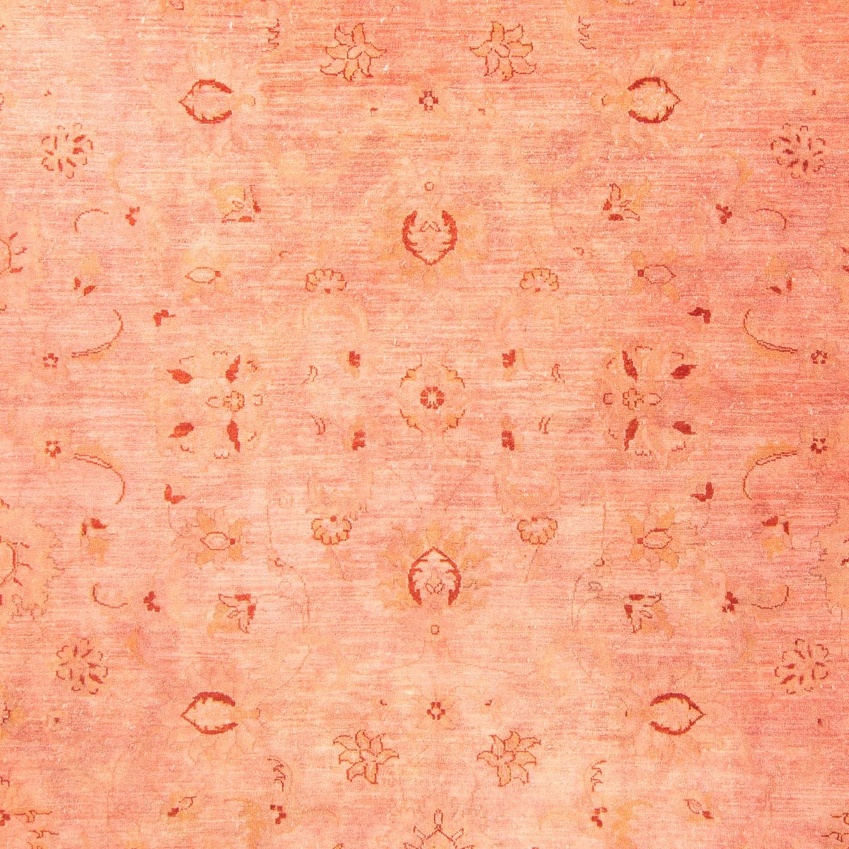 Tapis Ziegler - 300 x 242 cm - rouge clair