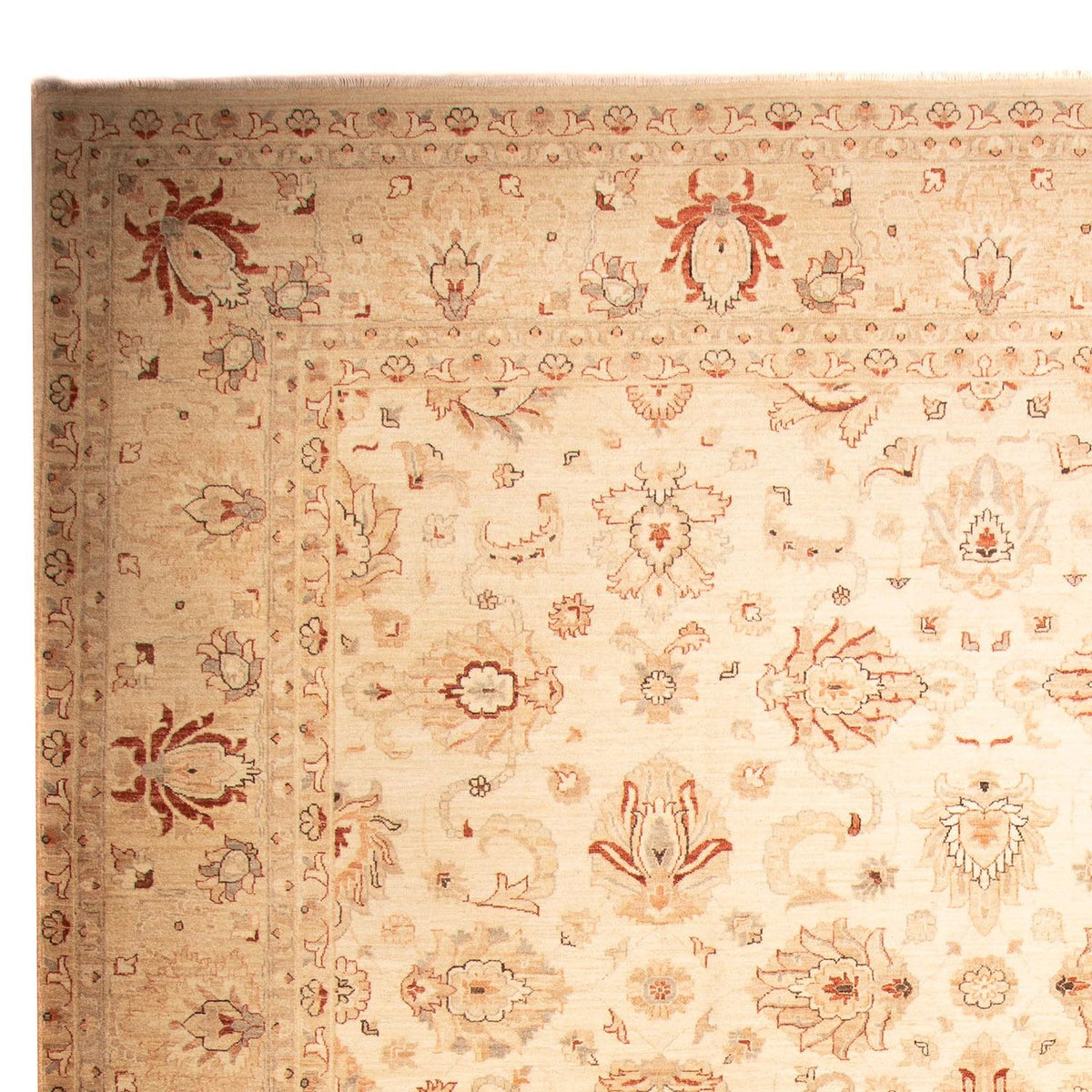 Tapis Ziegler - 397 x 299 cm - beige