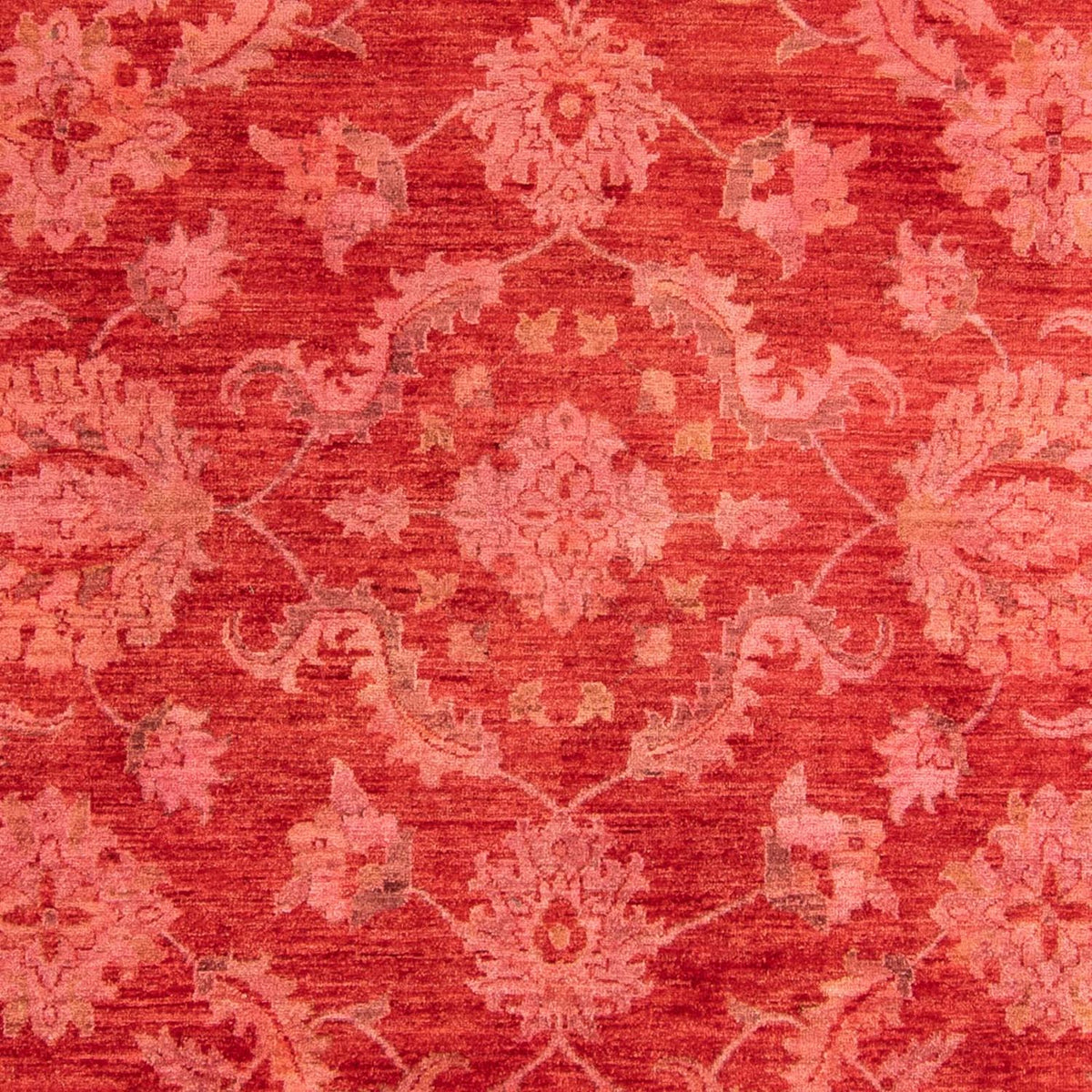 Tapis Ziegler - 350 x 222 cm - rouge clair