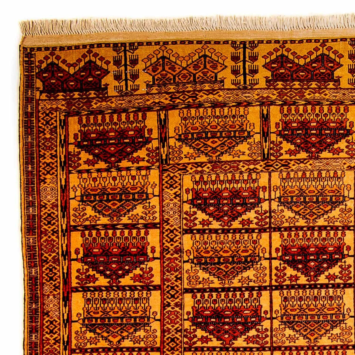 Tapis en soie - Soie afghane - 173 x 126 cm - or
