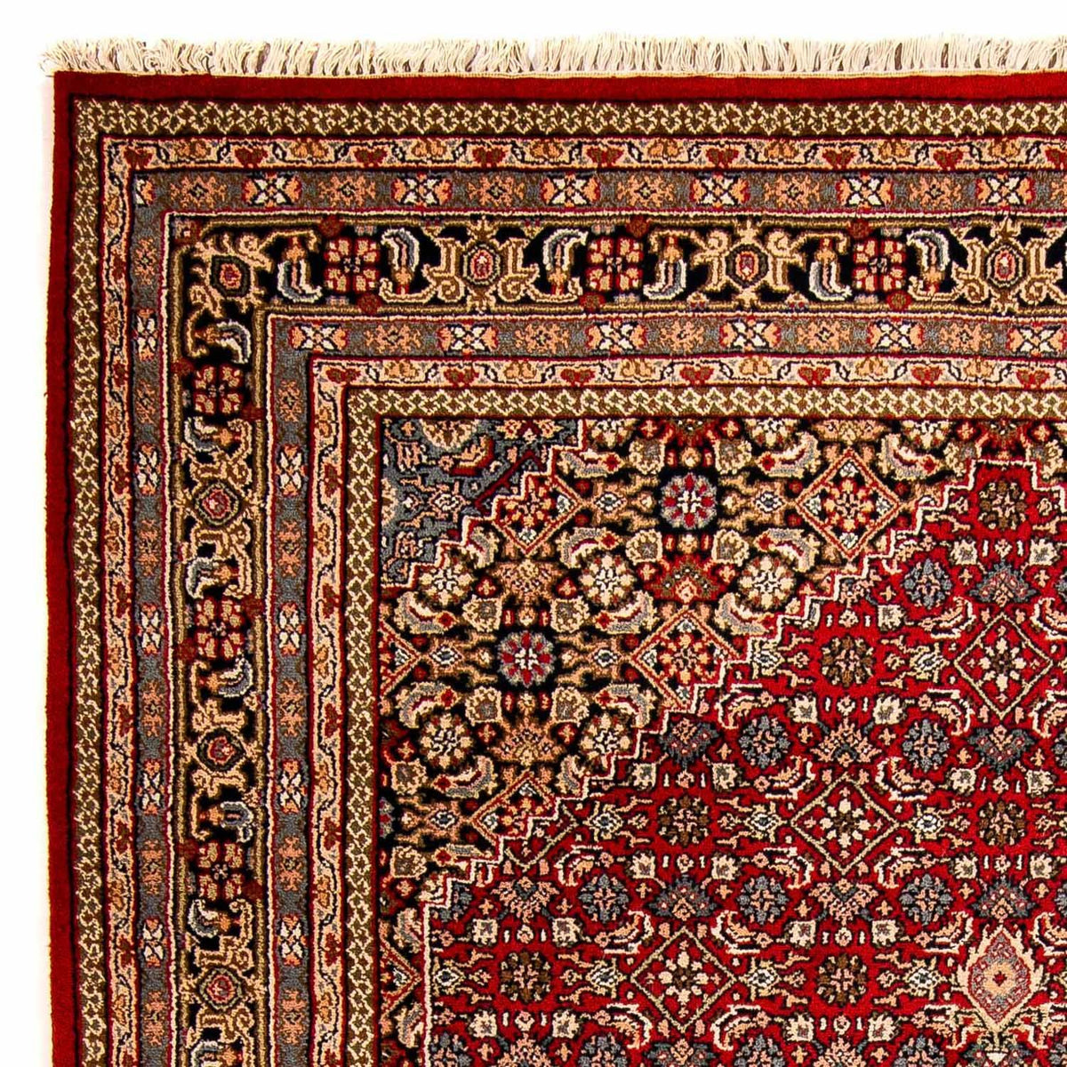 Tapis oriental - Bidjar - Indus - 305 x 199 cm - rouge