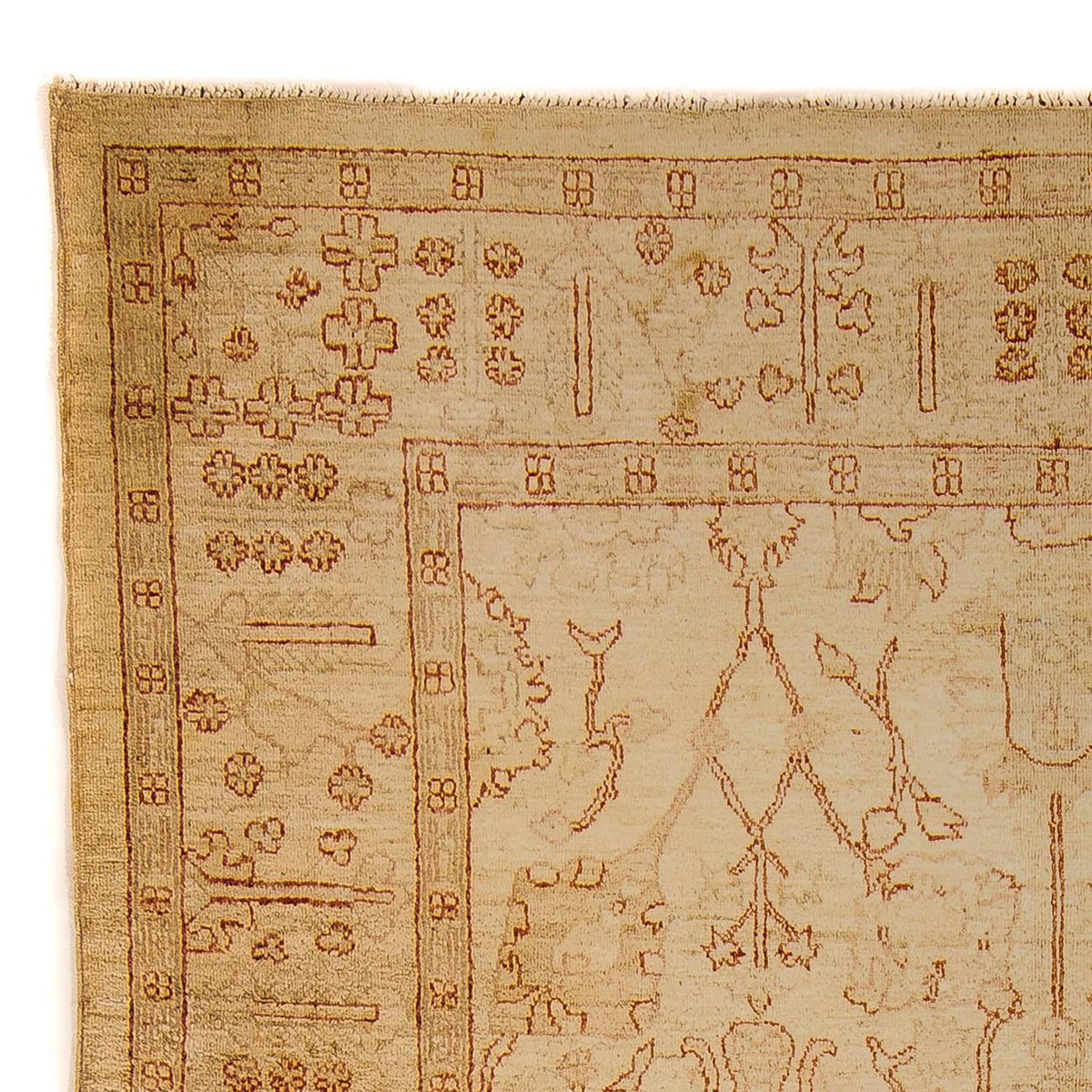 Tapis Ziegler - 247 x 173 cm - marron clair