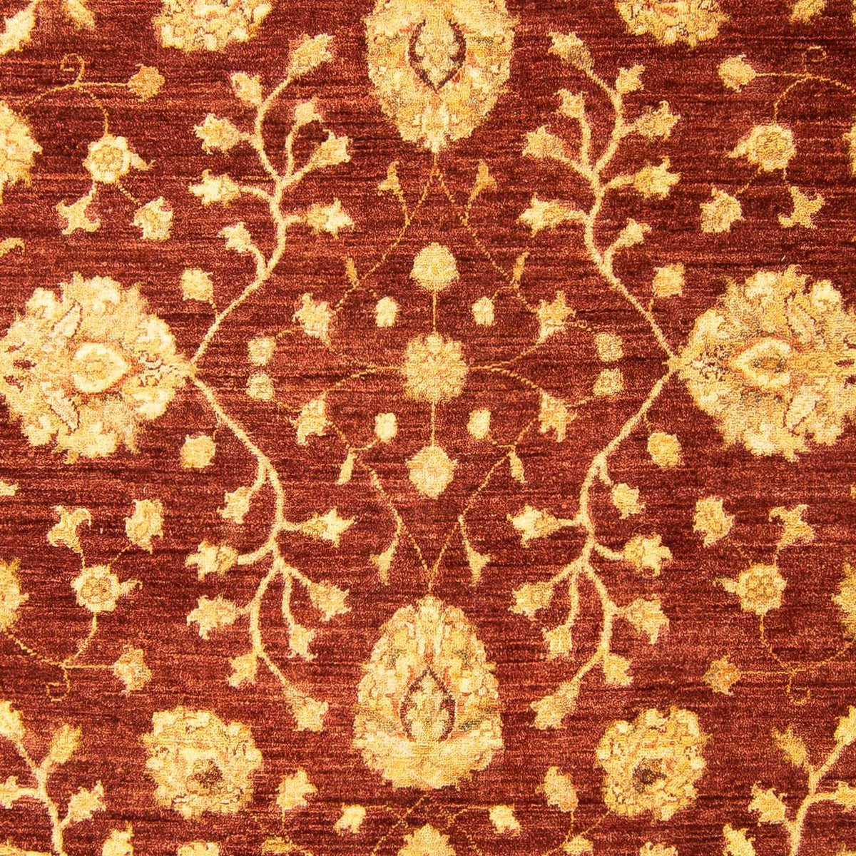 Tapis Ziegler - 270 x 195 cm - marron