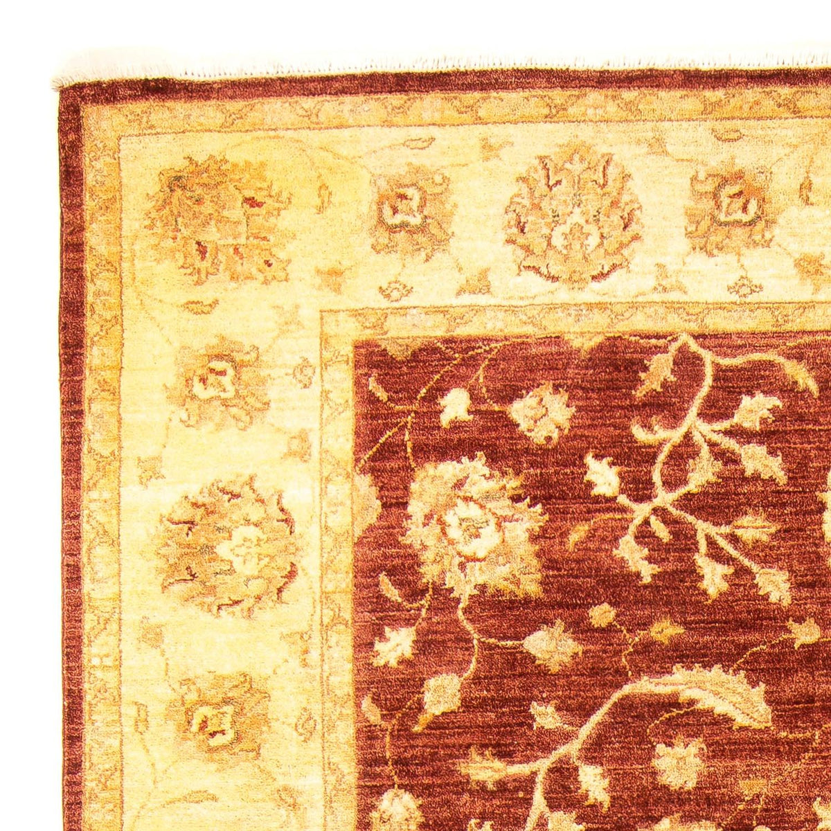 Tapis Ziegler - 270 x 195 cm - marron