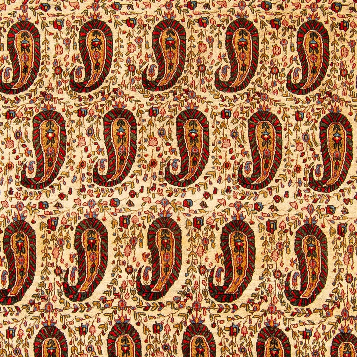 Tapis persan - Classique - 329 x 219 cm - beige