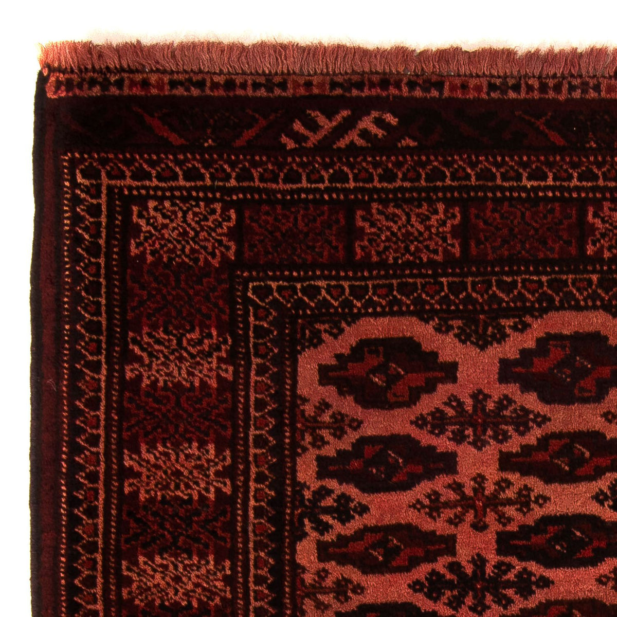 Tapis afghan - Boukhara - 150 x 103 cm - rouge foncé