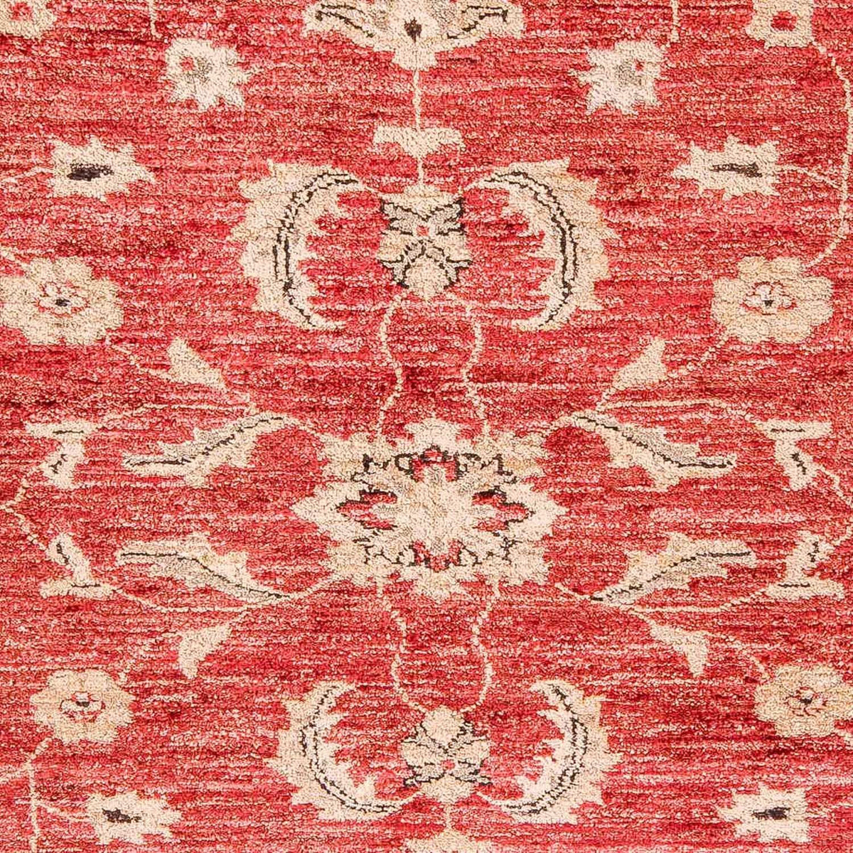 Tapis Ziegler - 327 x 239 cm - rouge
