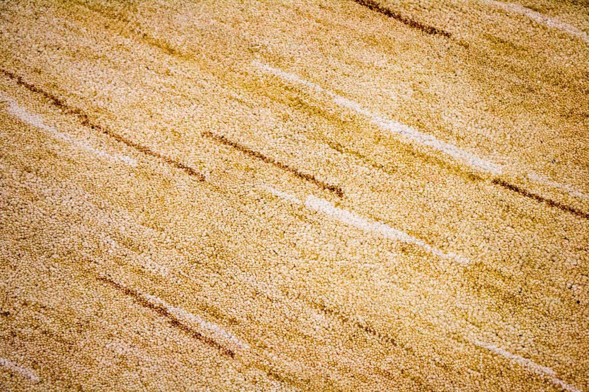 Tapis Gabbeh - Indus - 242 x 150 cm - multicolore