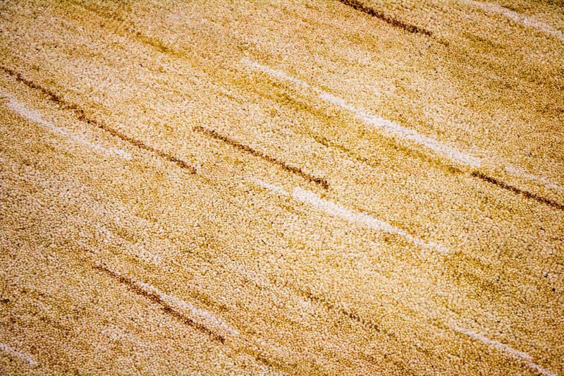 Tapis Gabbeh - Indus - 242 x 150 cm - multicolore