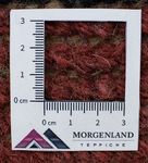 Tapis Népalais - 140 x 70 cm - multicolore