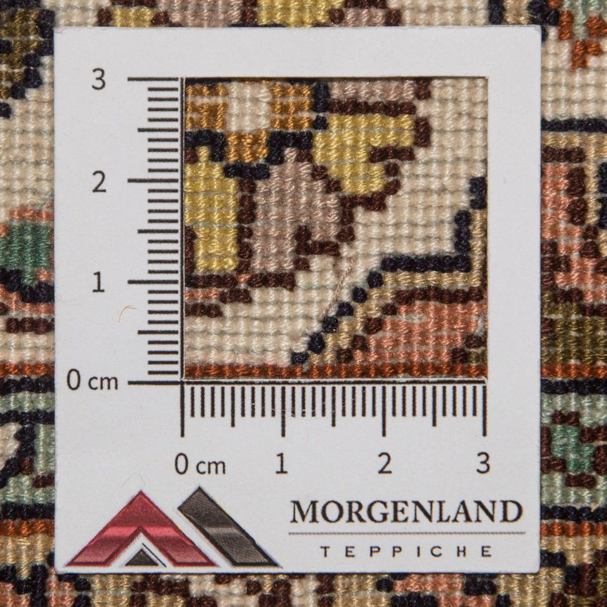 Tapis de couloir Tapis en soie - Soie du Cachemire - 300 x 79 cm - beige