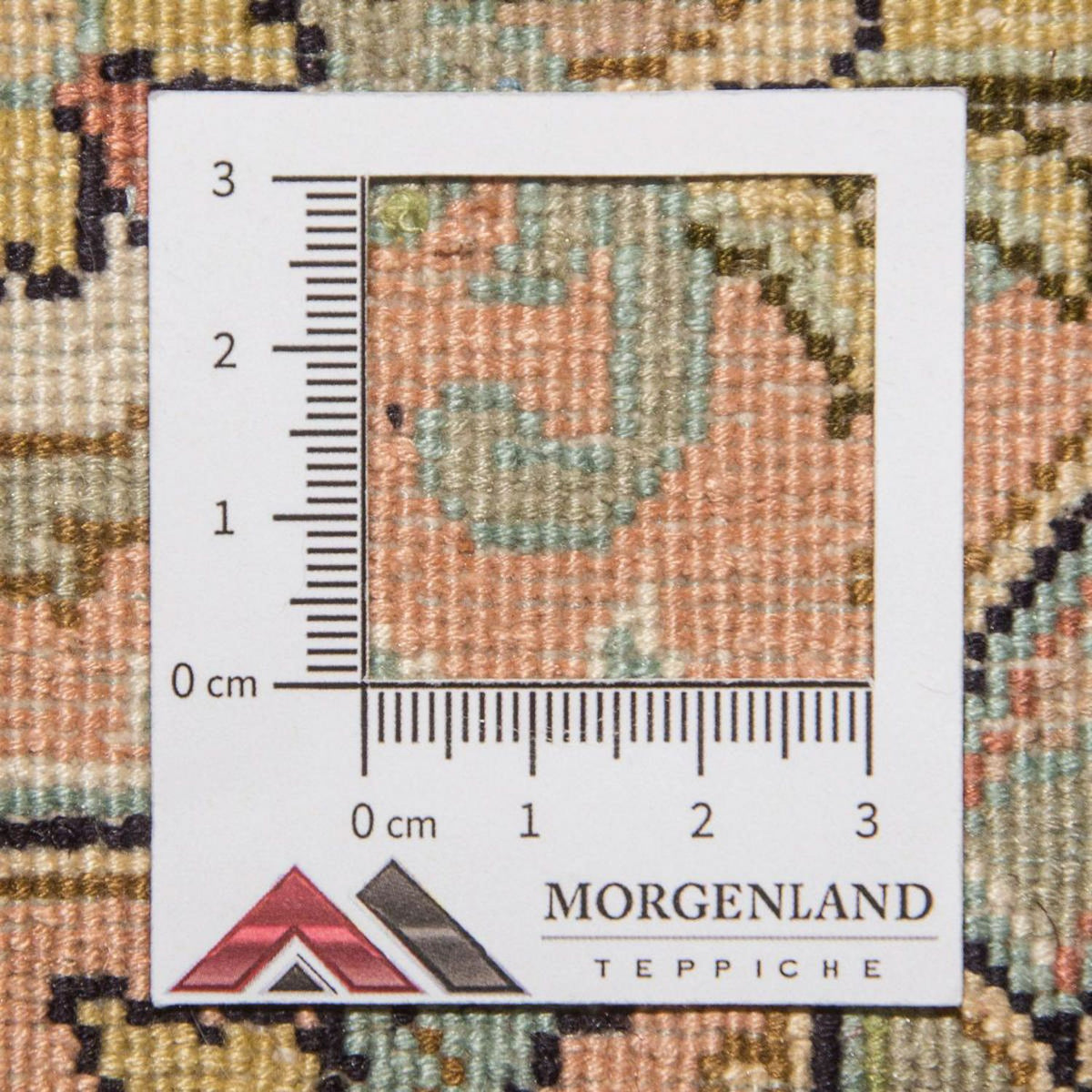 Tapis en soie - Soie du Cachemire - 335 x 243 cm - beige