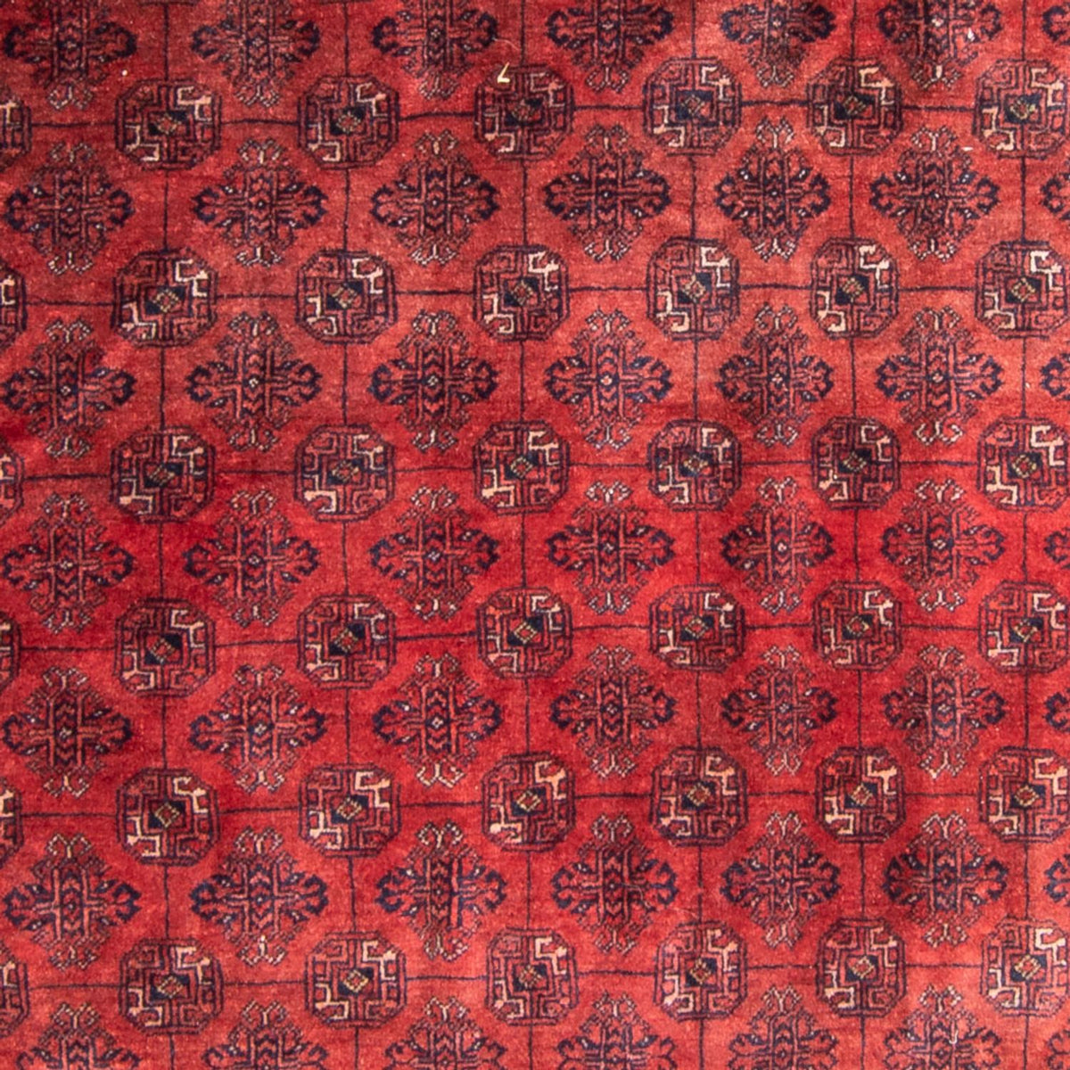 Tapis Turkaman - 305 x 202 cm - rouge