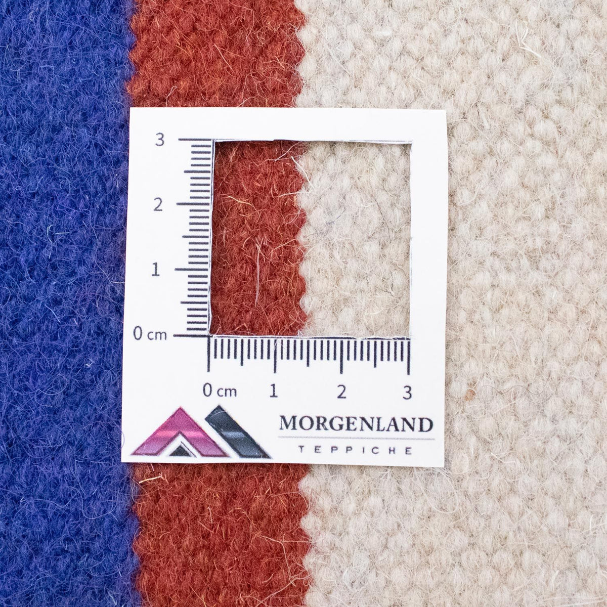 Tapis Kelim - Tendance - 300 x 200 cm - beige