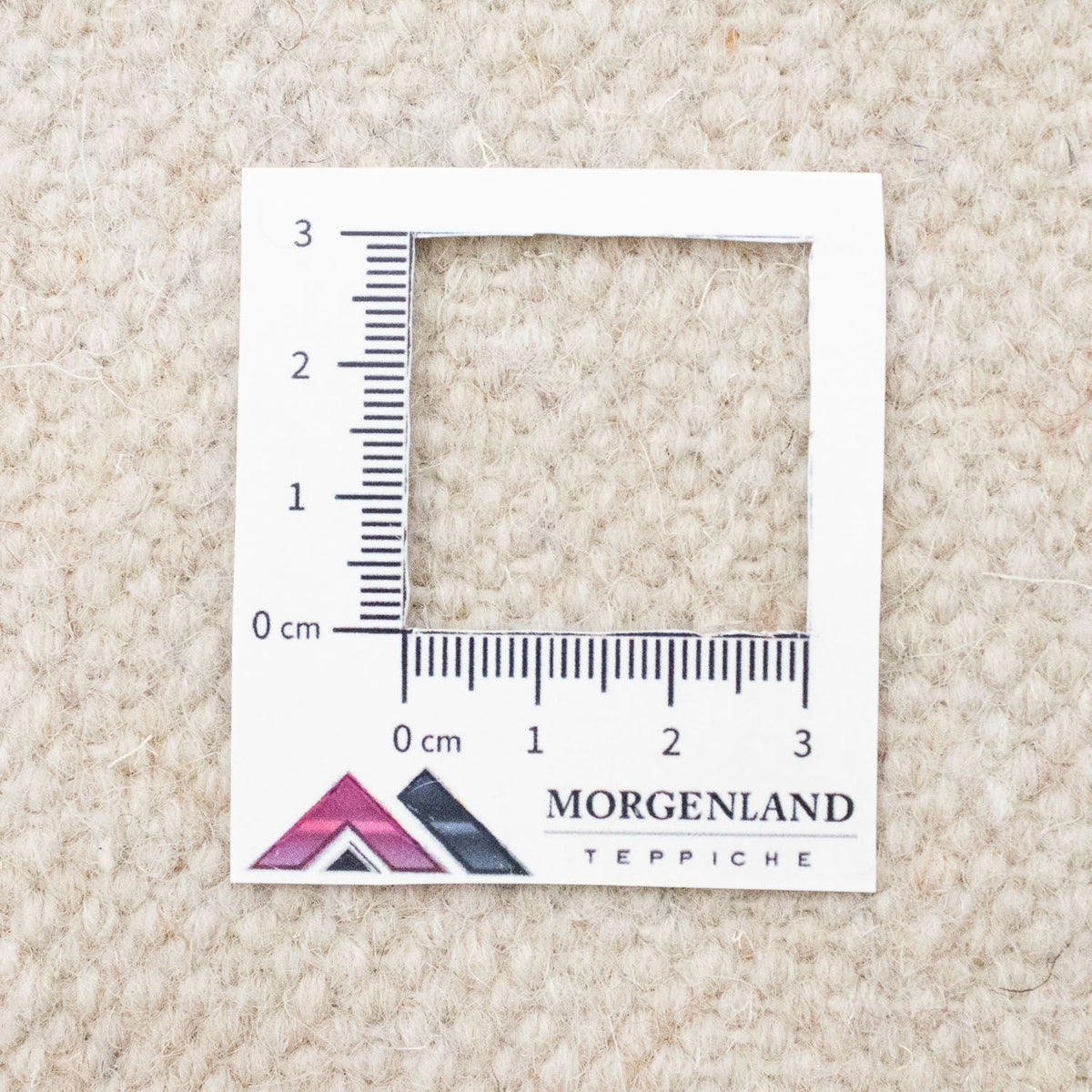 Tapis Kelim - Tendance - 300 x 200 cm - beige