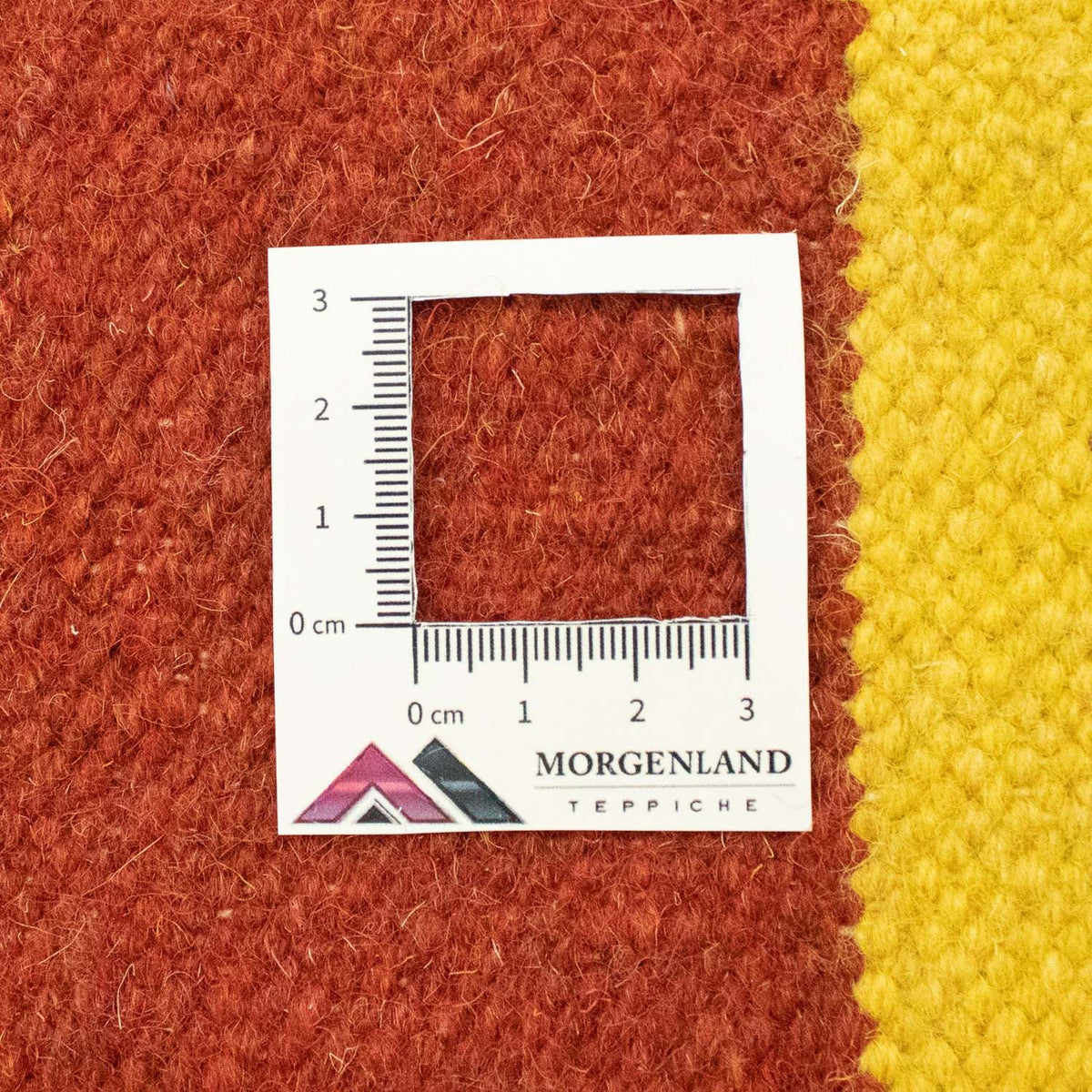 Tapis Kelim - Tendance - 300 x 200 cm - bleu