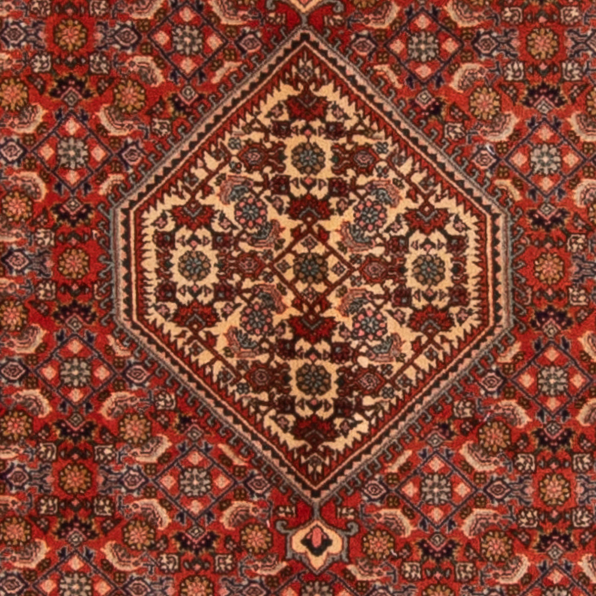 Tapis persan - Bidjar - 168 x 116 cm - rouge