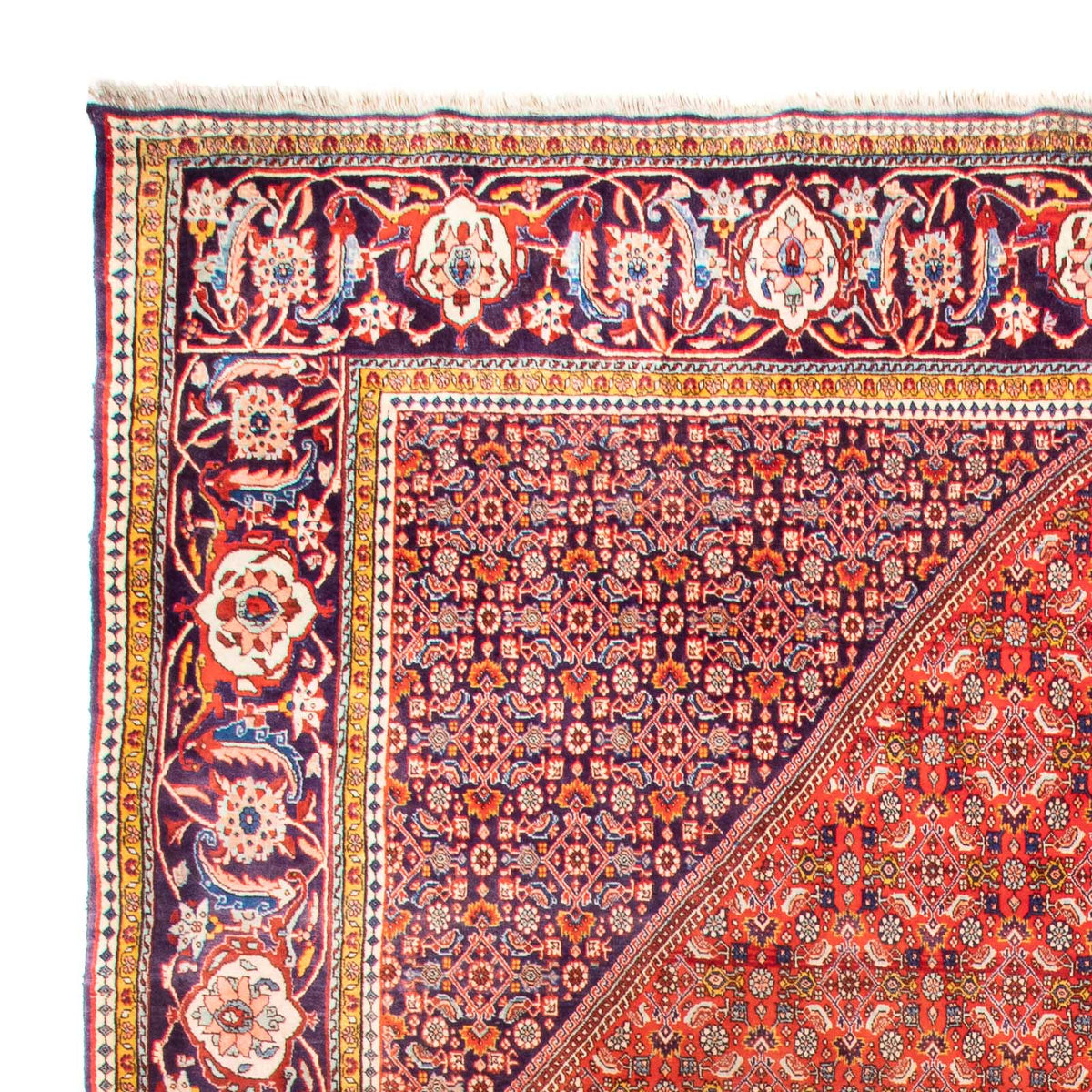 Tapis persan - Bidjar - 420 x 310 cm - terracotta