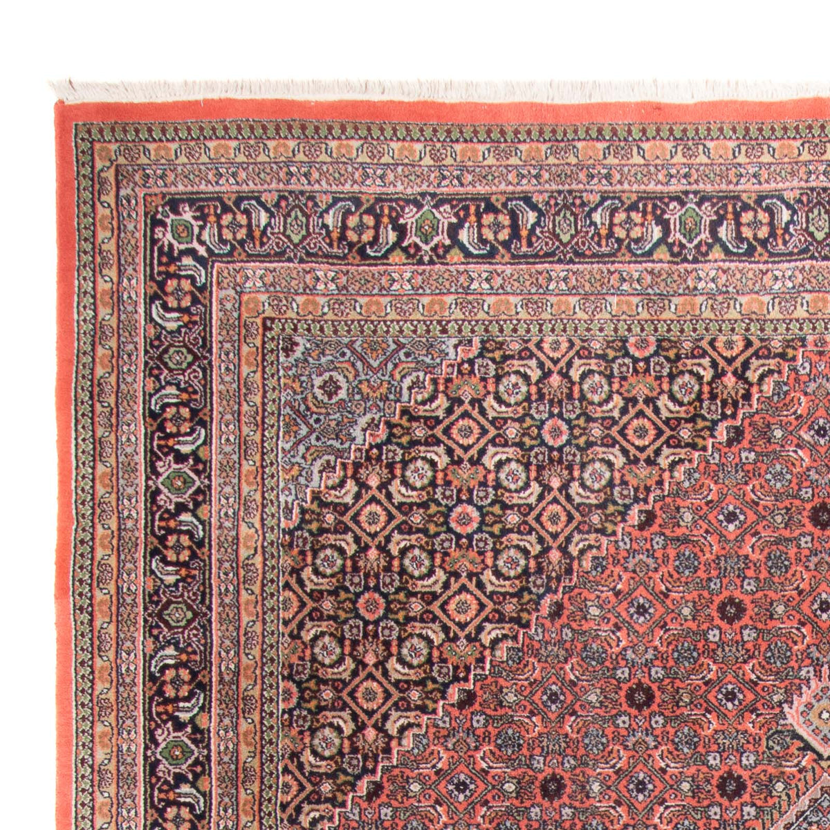 Tapis oriental - Bidjar - Indus - 346 x 248 cm - rouge