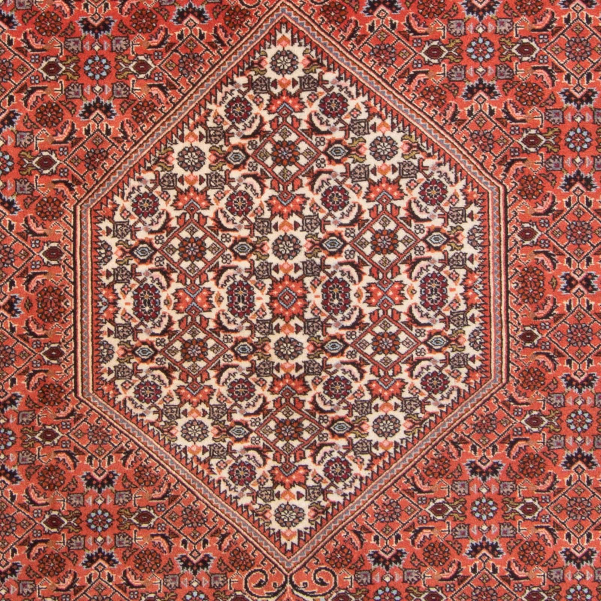 Tapis persan - Bidjar - 295 x 195 cm - rouge