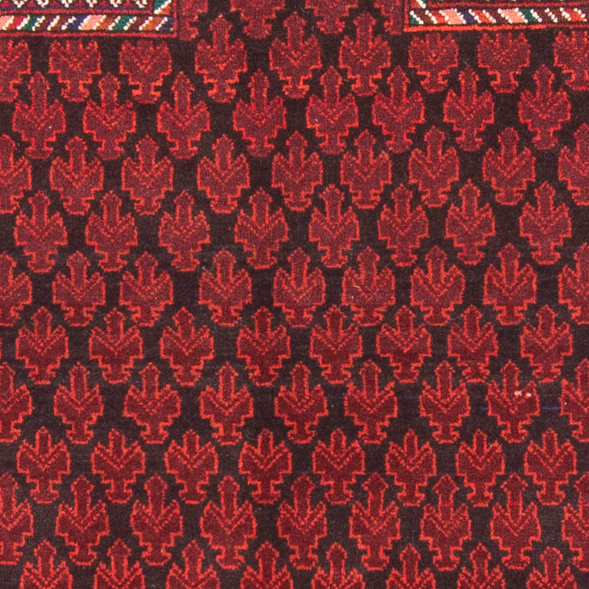 Tapis Belutsch - Tapis de prière - 155 x 103 cm - rouge