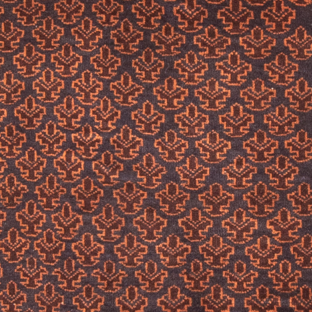 Tapis Belutsch - Tapis de prière - 147 x 91 cm - bleu foncé