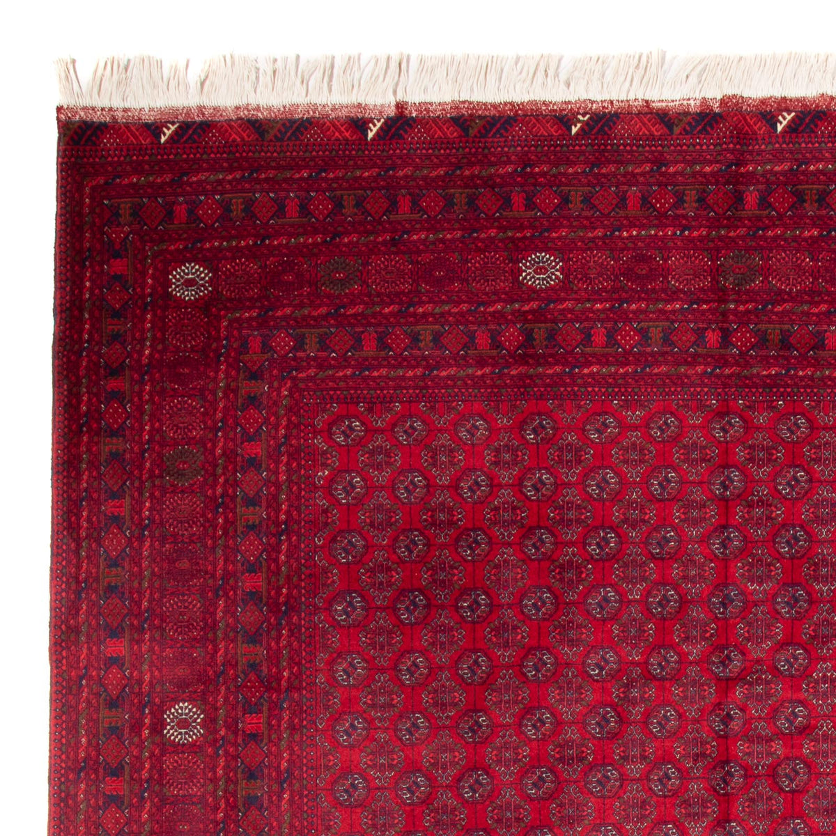 Tapis afghan - Boukhara - 340 x 240 cm - rouge