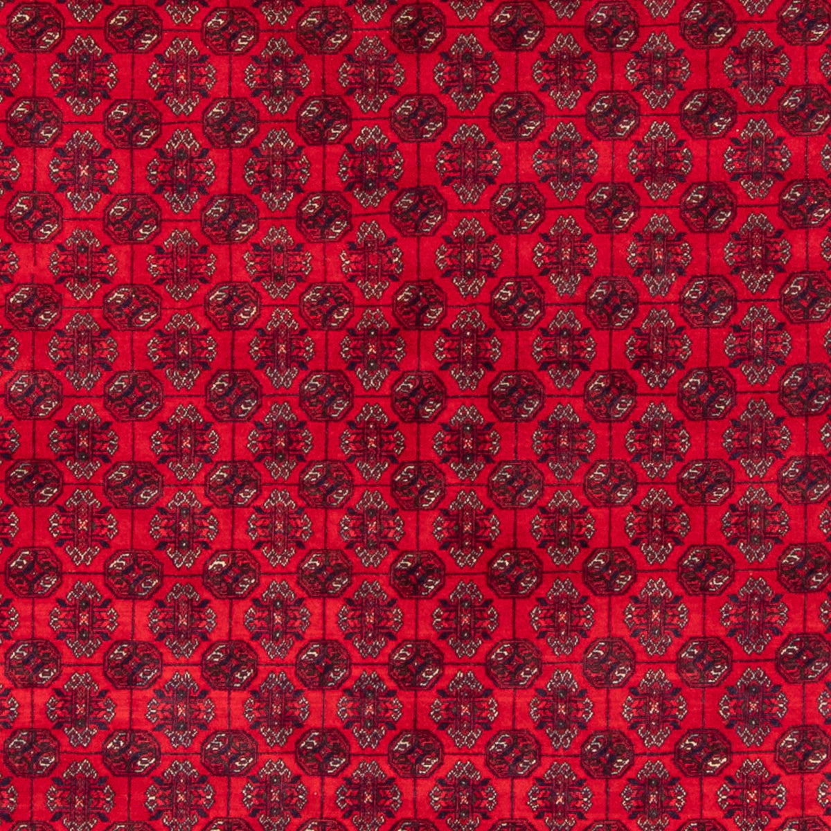 Tapis afghan - Boukhara - 290 x 196 cm - rouge