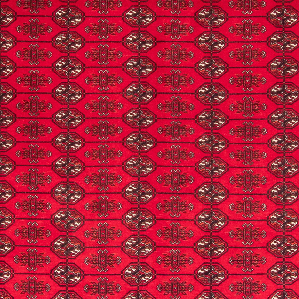 Tapis afghan - Boukhara - 282 x 200 cm - rouge