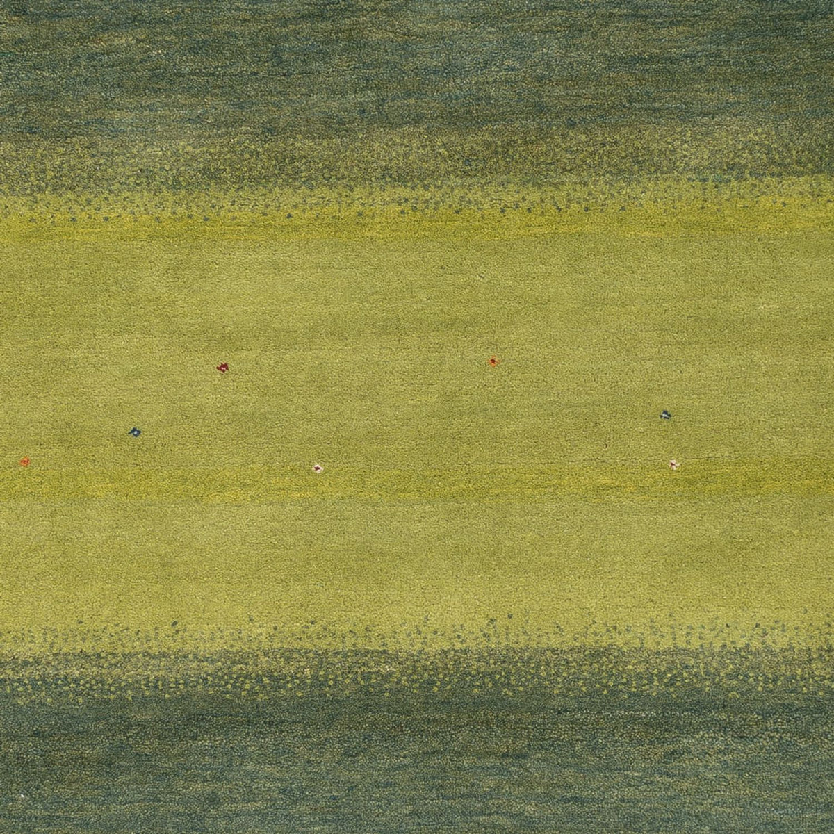 Tapis Gabbeh - Loribaft Indus - 240 x 170 cm - vert