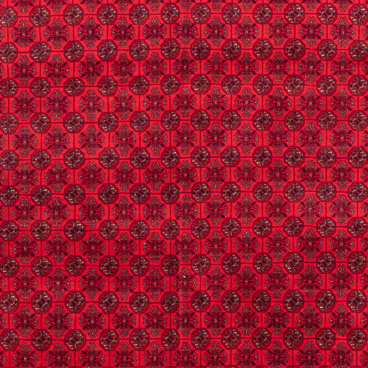Tapis afghan - 295 x 194 cm - rouge