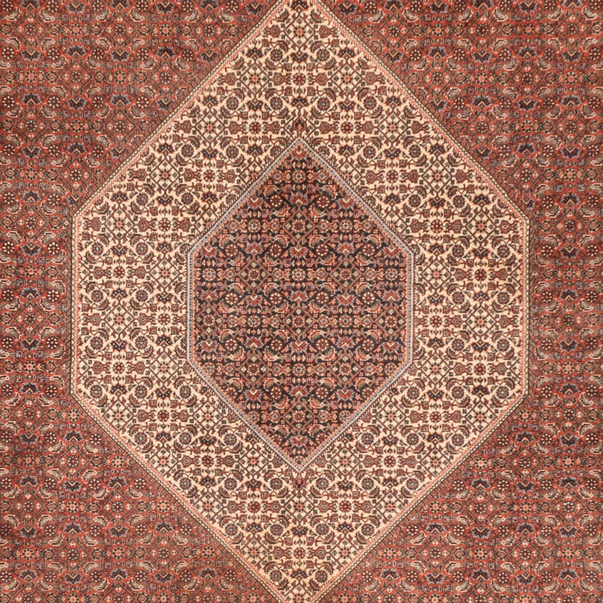 Tapis persan - Bidjar - 300 x 255 cm - rouille