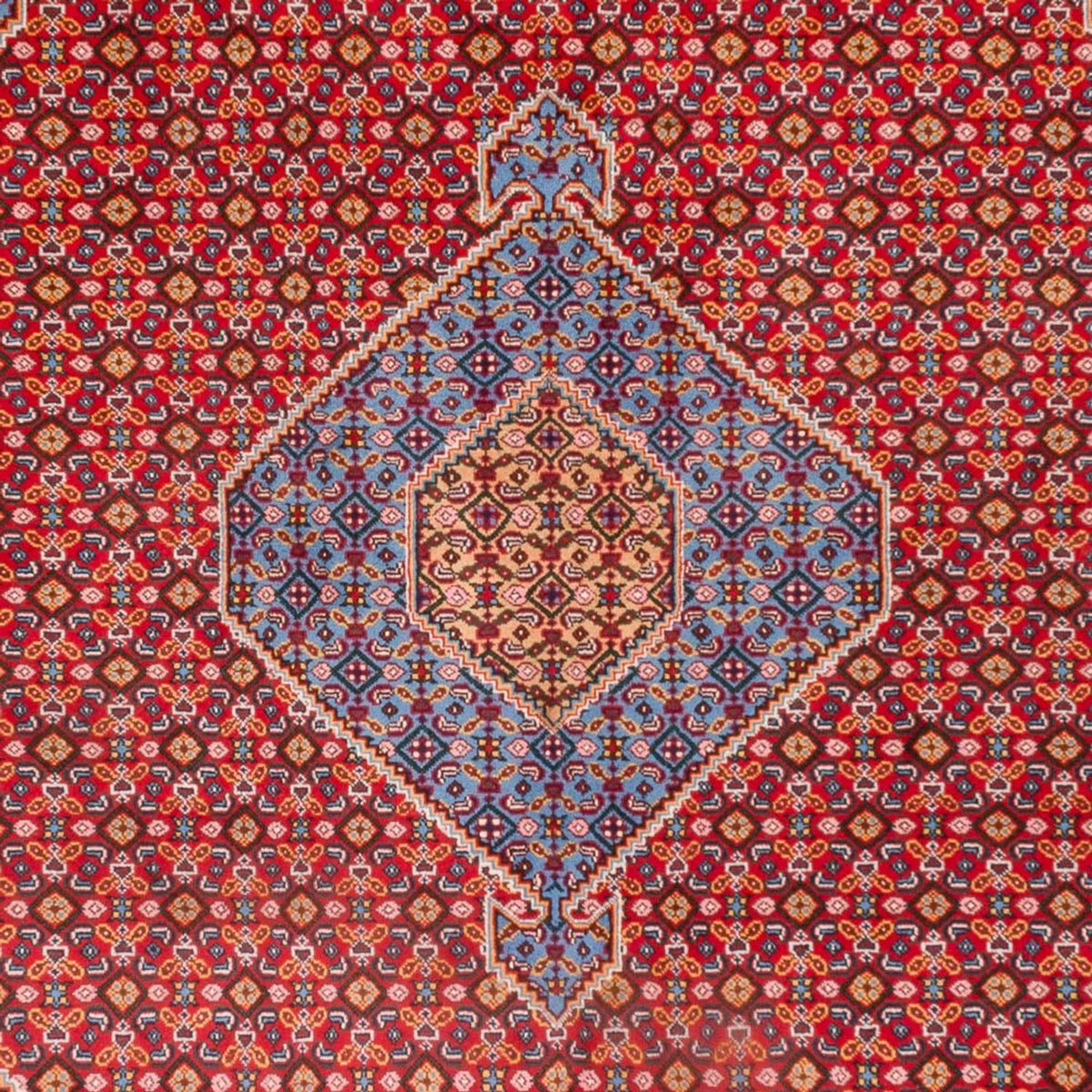 Tapis persan - Nomadic - 300 x 205 cm - rouge