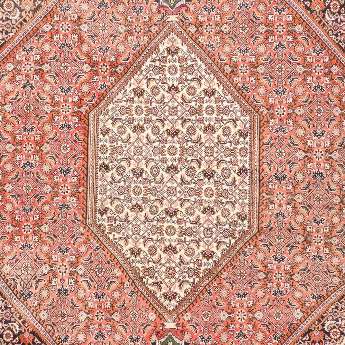 Tapis persan - Bidjar - 287 x 198 cm - rouge clair