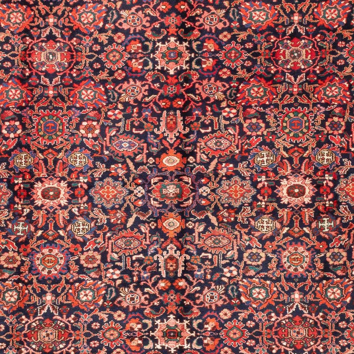 Tapis persan - Nomadic - 300 x 250 cm - rouge foncé