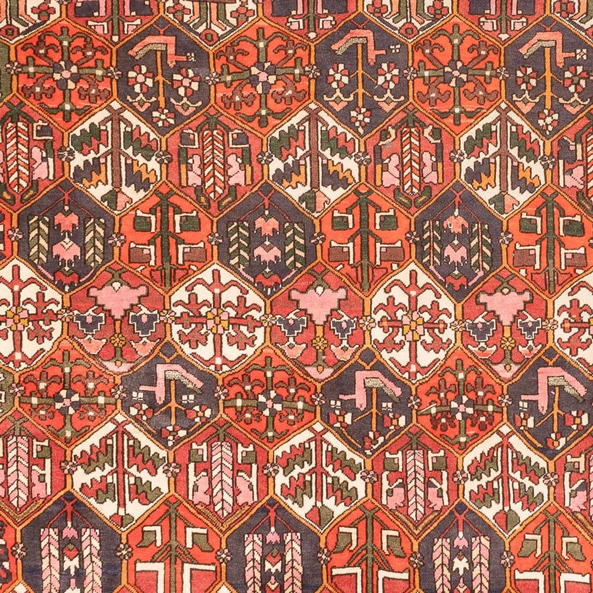Tapis persan - Nomadic - 310 x 210 cm - terracotta